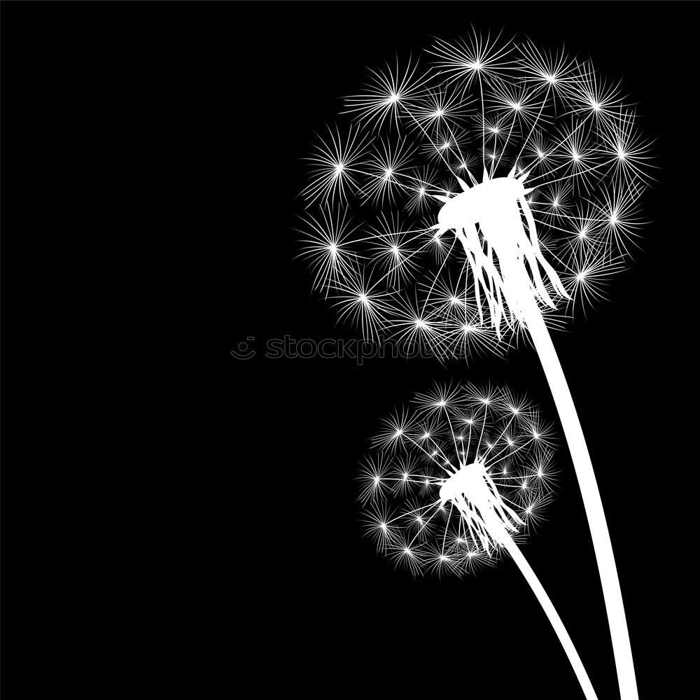 Similar – Foto Bild Light A Candle ruhig