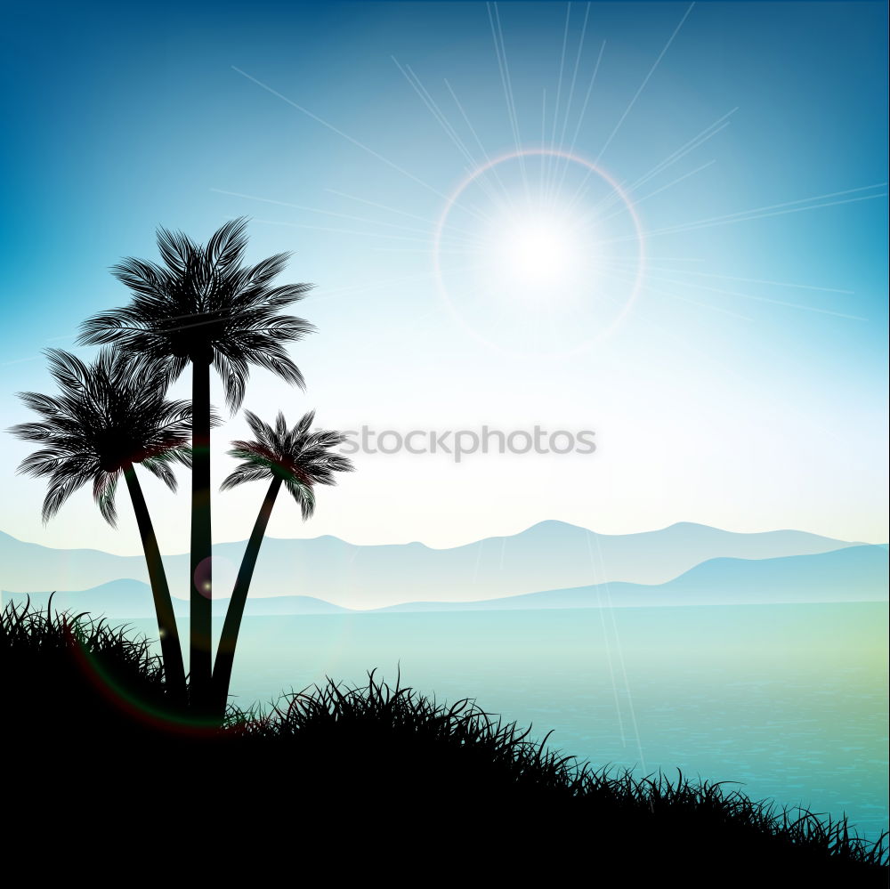 Similar – palm Palm tree Dark