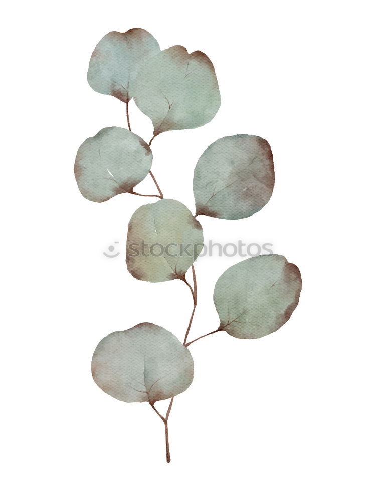 Similar – Image, Stock Photo herbarium Elegant Style