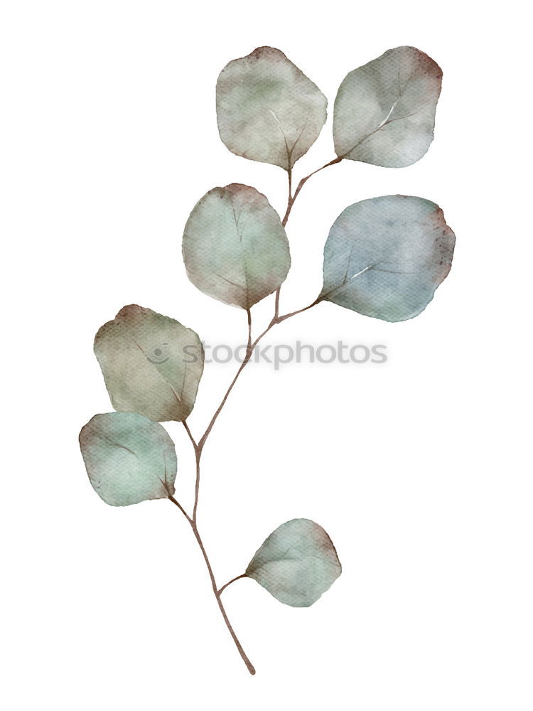 Similar – Image, Stock Photo herbarium Elegant Style