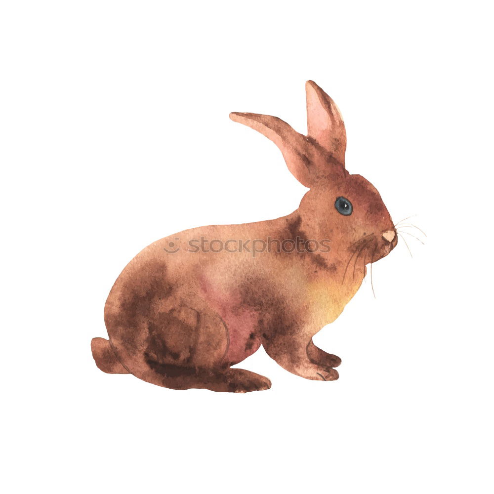 Similar – Image, Stock Photo Easter bunny with a difference #3