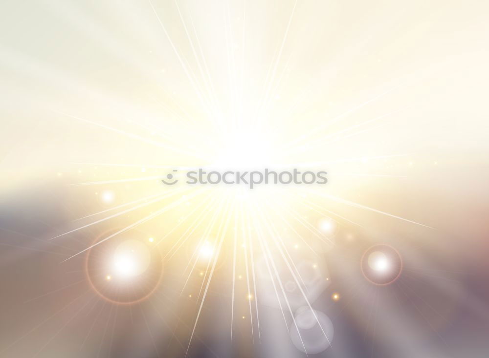 Similar – Image, Stock Photo Seagull in the light