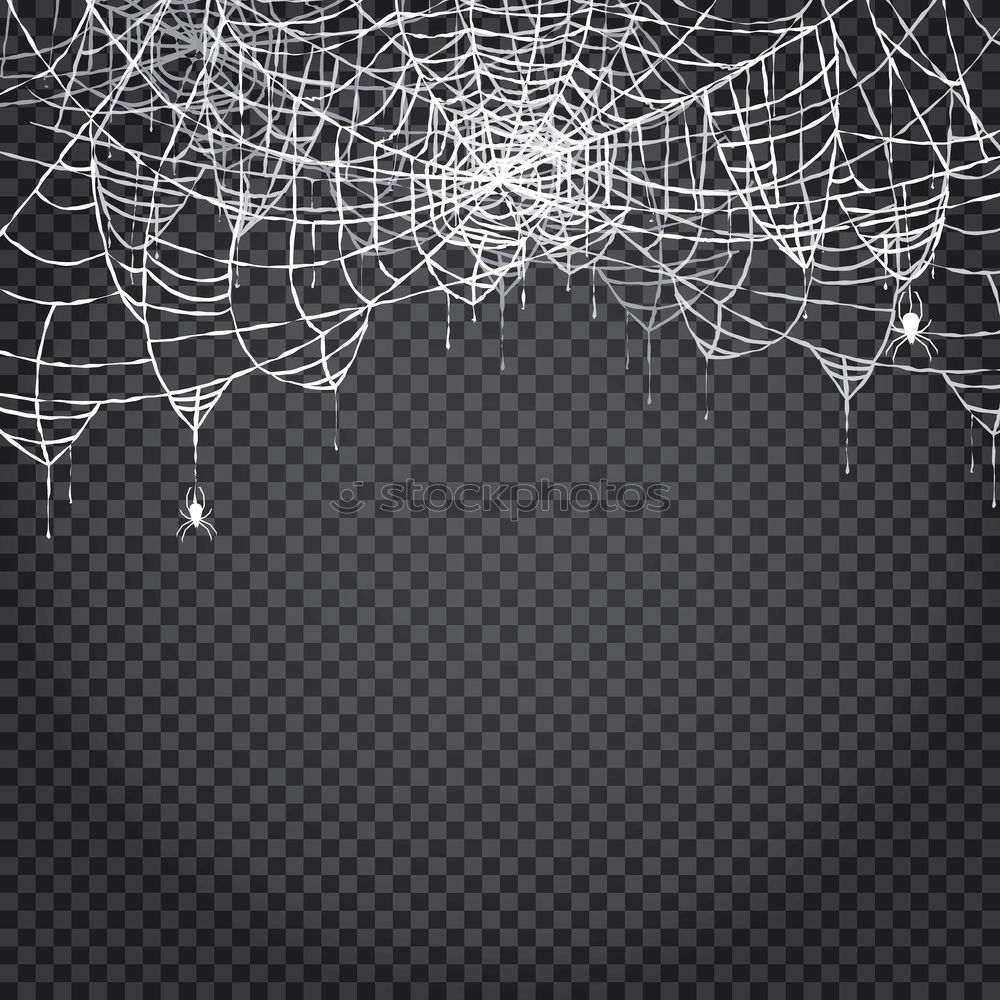 Image, Stock Photo wire netting Environment