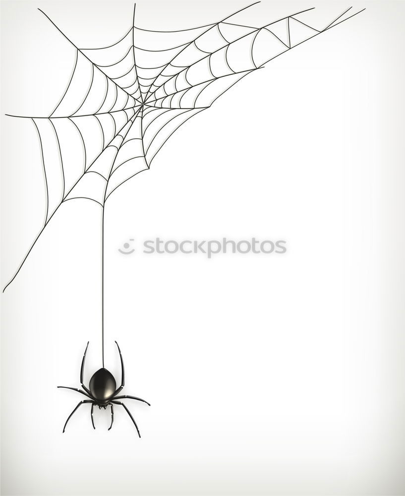 Similar – Image, Stock Photo Enjoy your meal. A spider in her web, she caught a ladybug