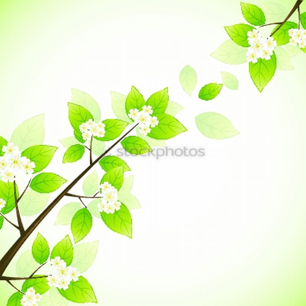 Similar – Spring background with green leaves and bokeh