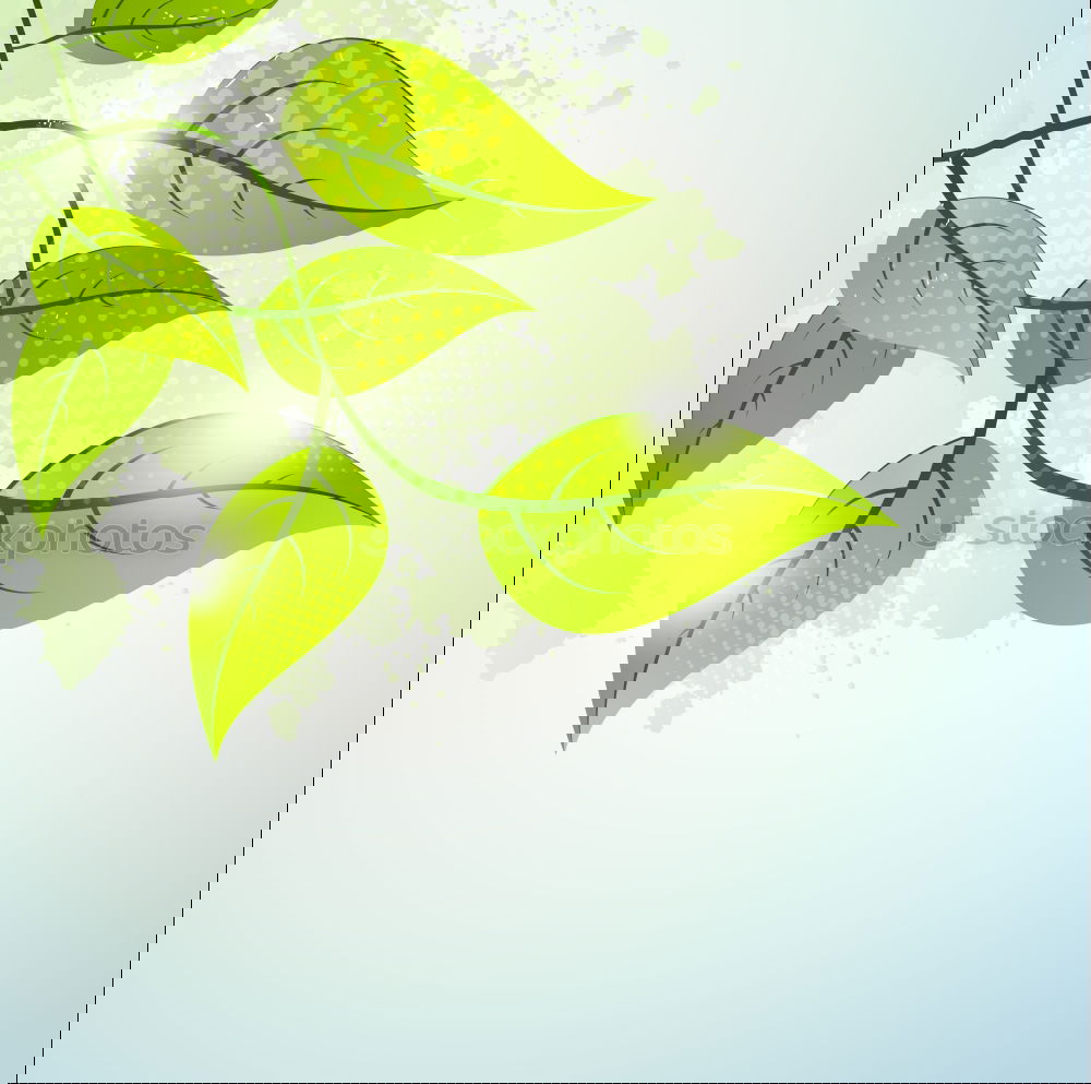 Similar – Image, Stock Photo green green green green blooms the gentian