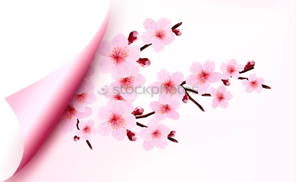 Similar – Image, Stock Photo Pink Tulip