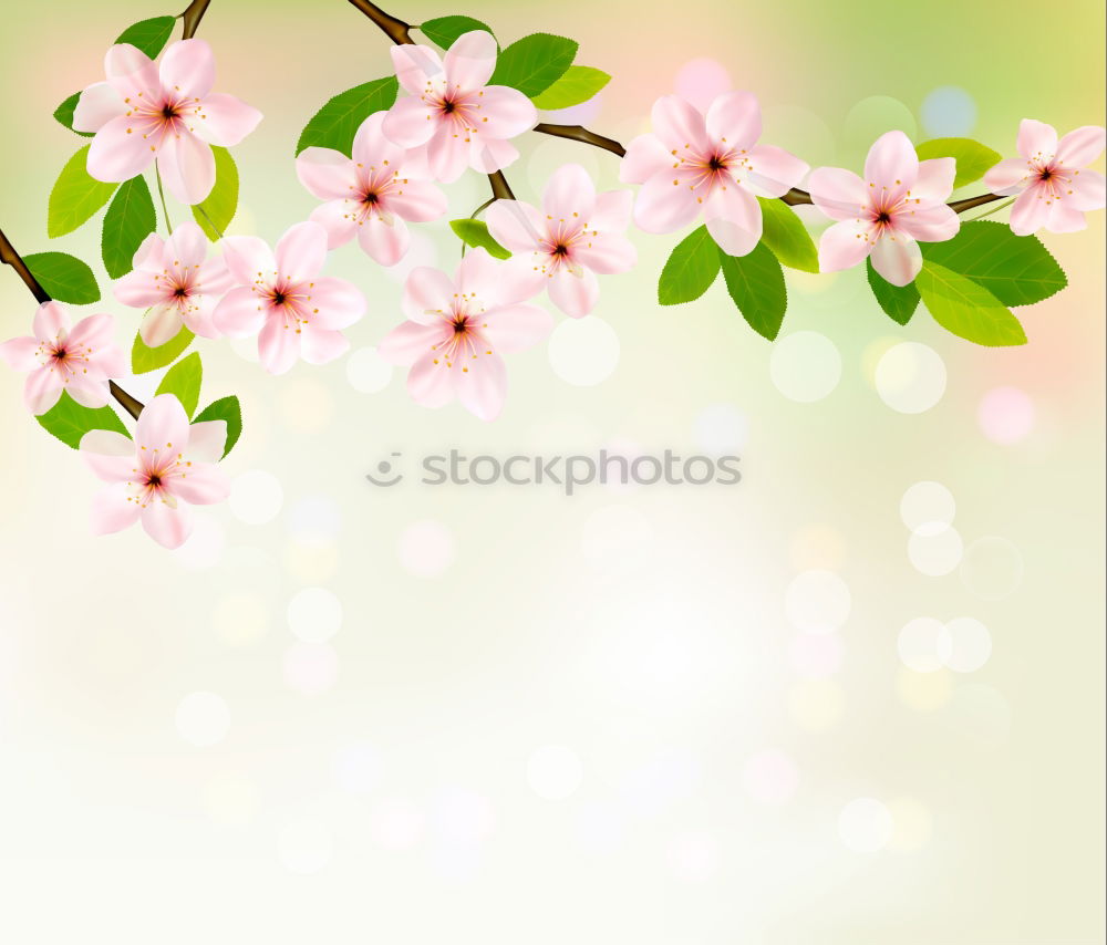 Similar – Spring background with green leaves and bokeh