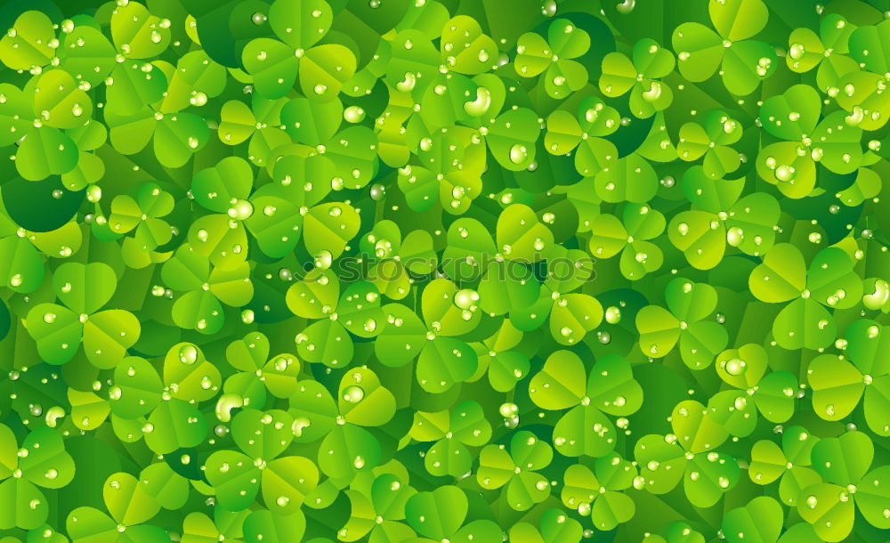 Similar – Green as clover