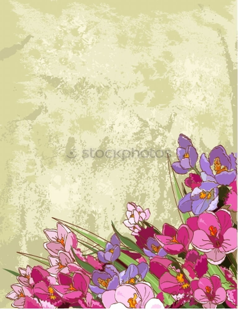 Similar – Tree blossoms on rustic background , Frame