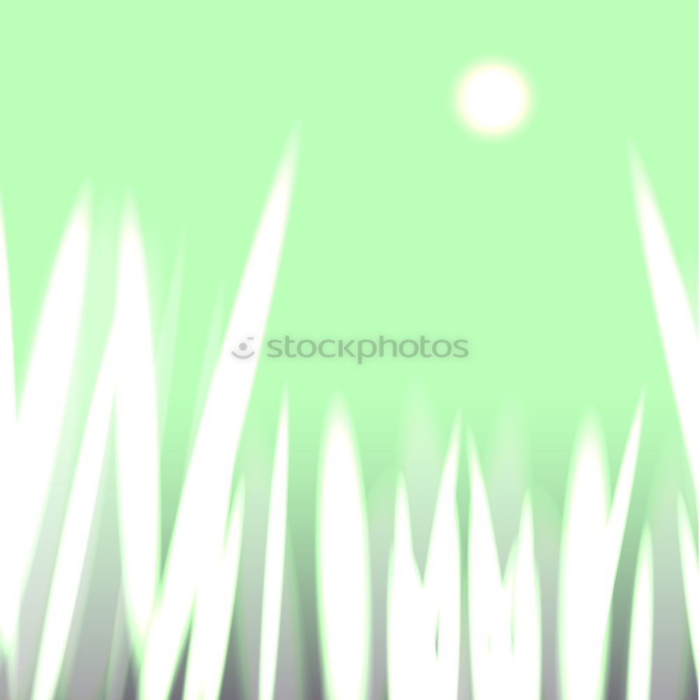 Similar – Image, Stock Photo Ecos who live behind the woods one.