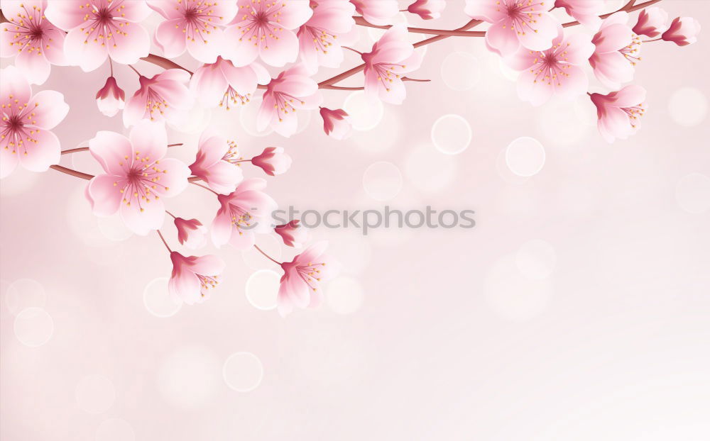 Similar – Image, Stock Photo Beautiful Spring Nature Background