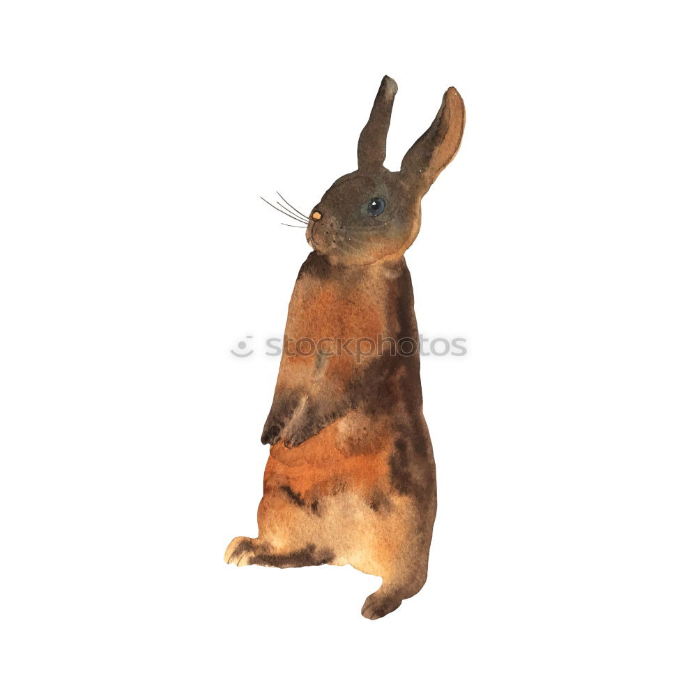 Similar – Image, Stock Photo Easter bunny with a difference #3