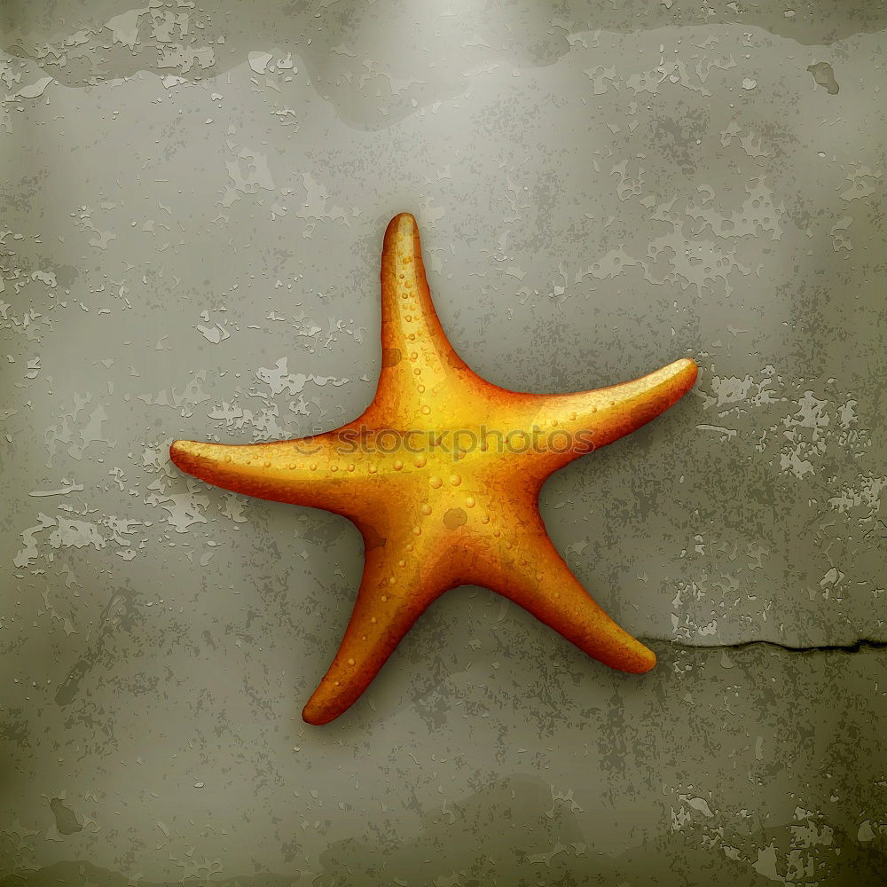 Image, Stock Photo iron star Weimar Cemetery