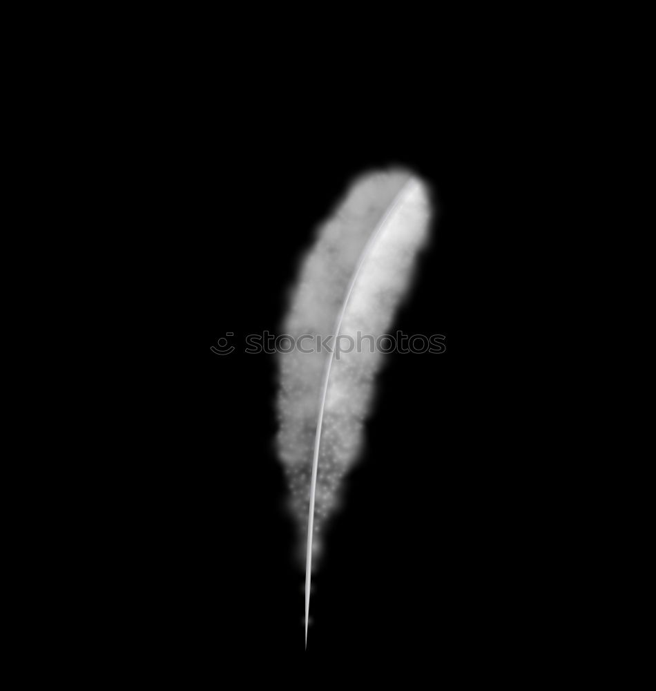 Similar – Image, Stock Photo Ghostly swan feather with drops of water, black background