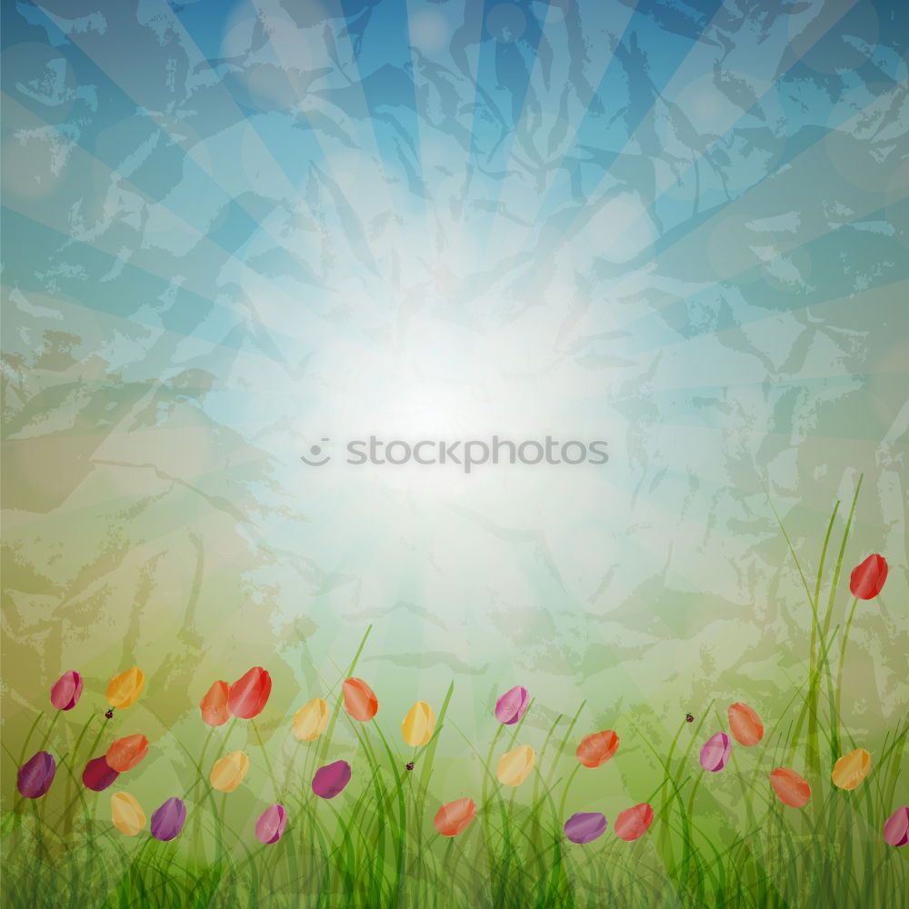 Similar – grass Nature Spring Grass