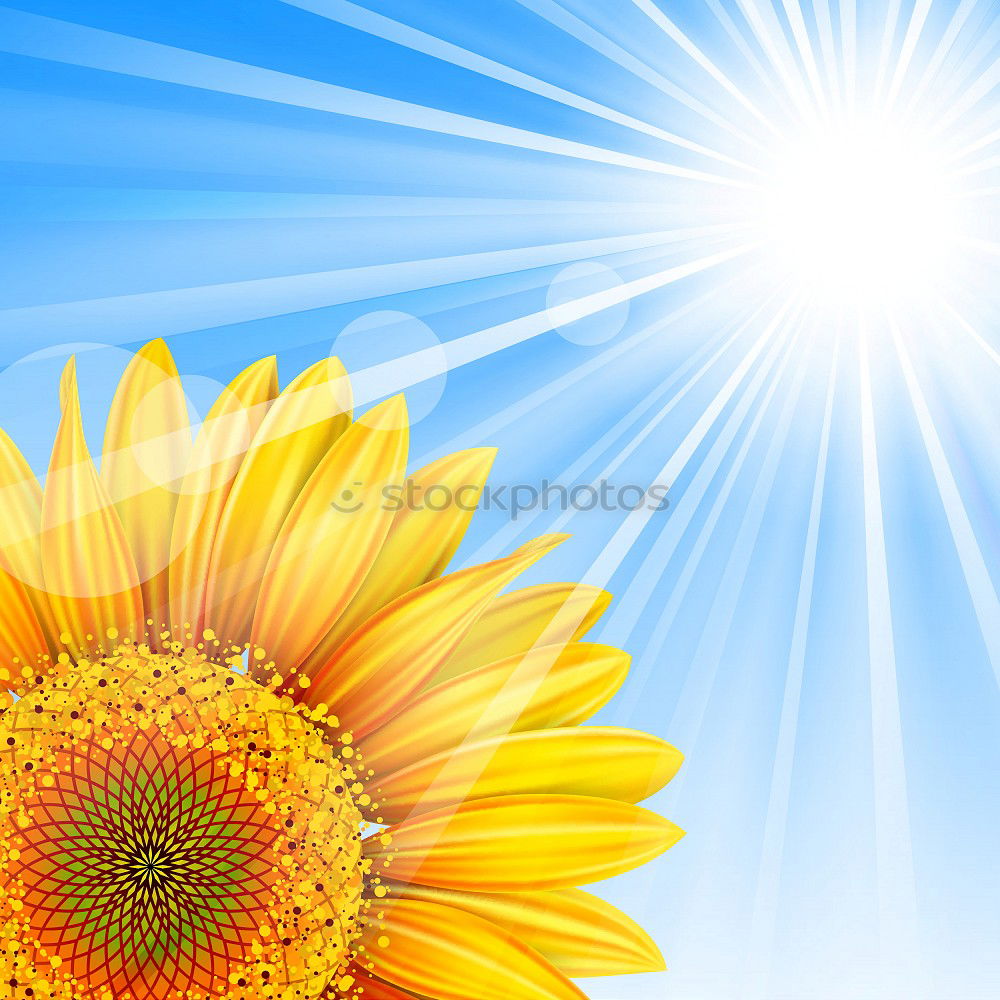 Similar – Image, Stock Photo awesome sunflower III