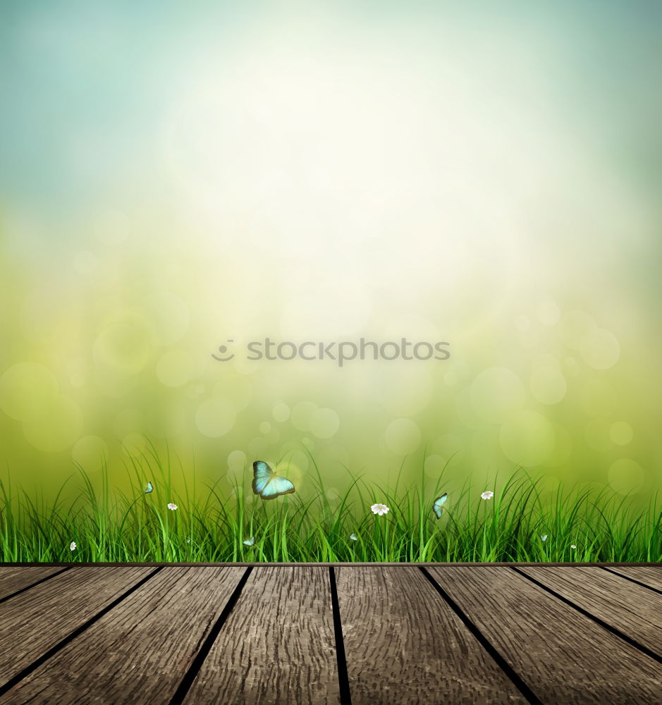 Similar – Image, Stock Photo Shoe in the green