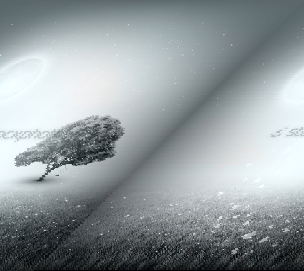 Similar – Image, Stock Photo Rendezvous in the moonlight