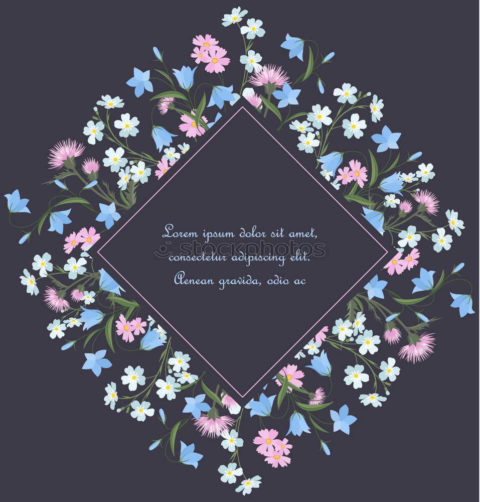 Similar – Image, Stock Photo so I need another happy ending