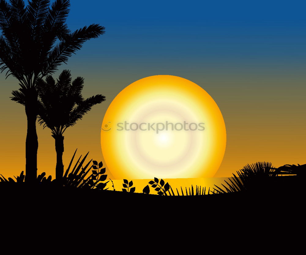 Similar – Image, Stock Photo mindimarket Plant Sunrise