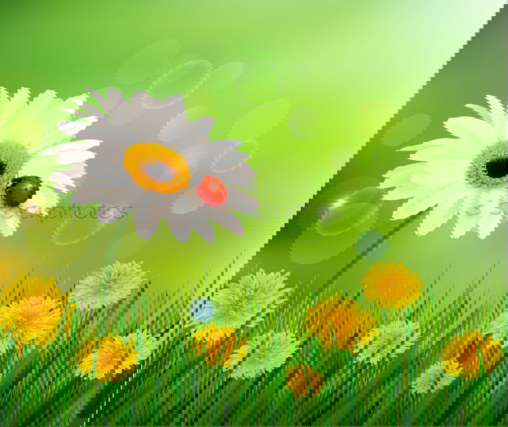 Similar – Image, Stock Photo #AS# Büdddeee! Art