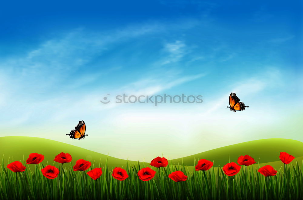 Similar – Image, Stock Photo Poppy with blue sky Summer