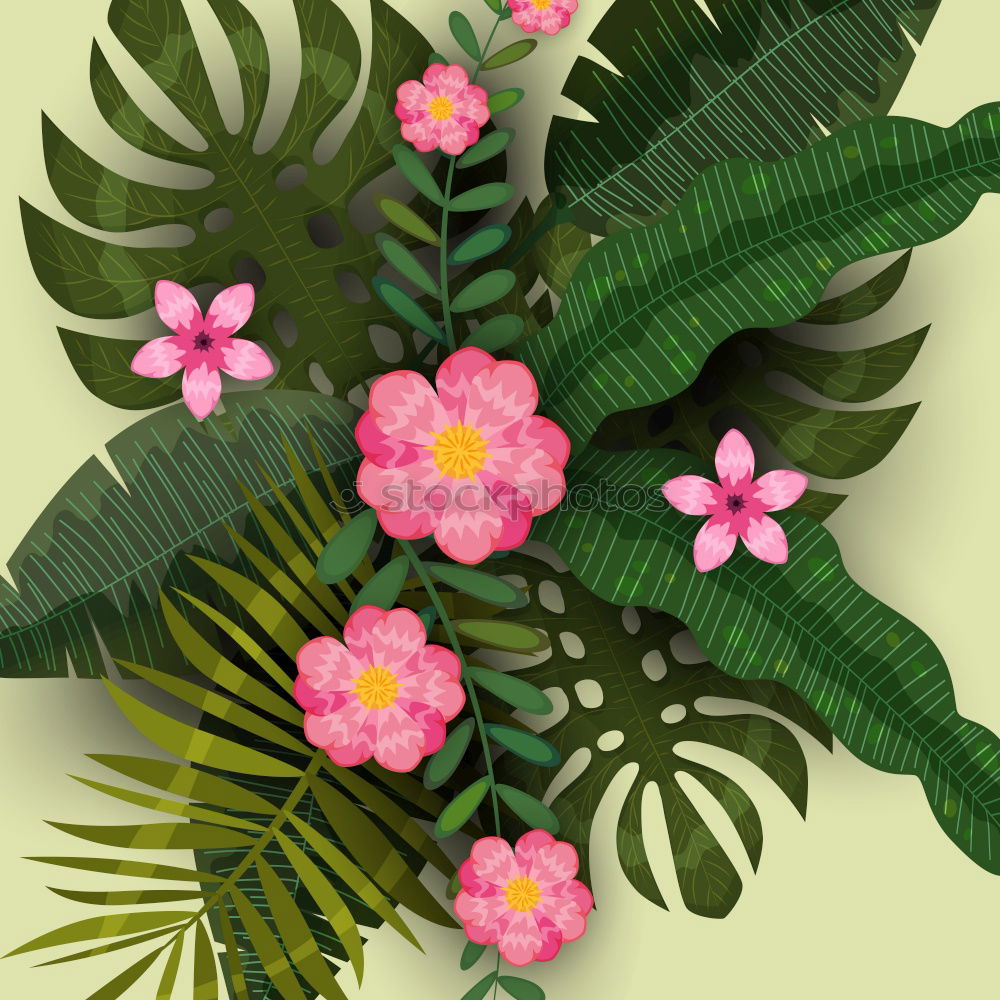 Similar – Flowers and leaves with decoration for bunch of flowers