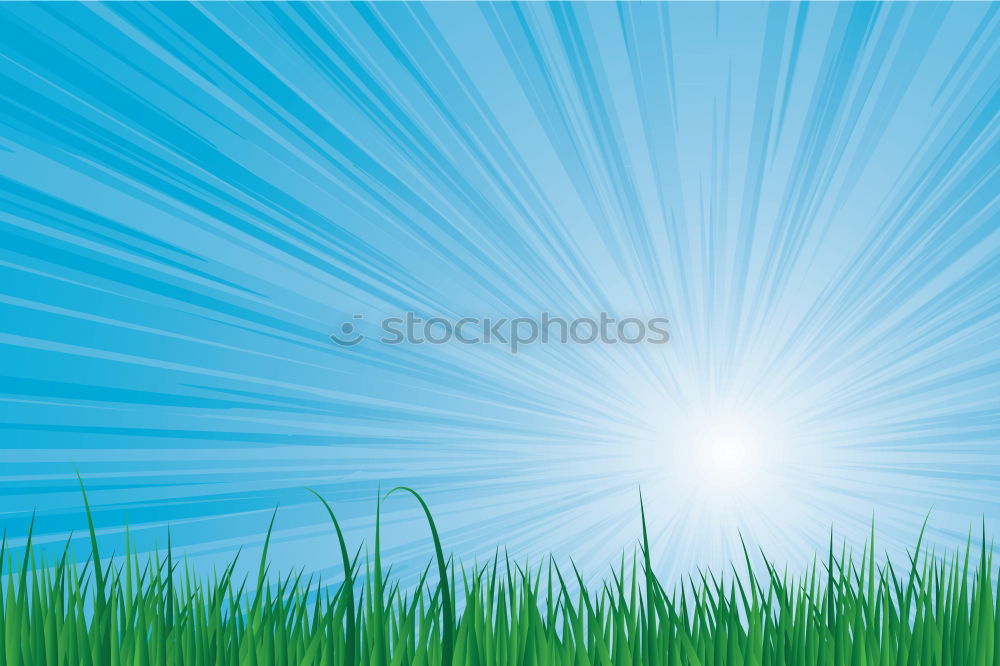 Similar – Image, Stock Photo summer classics Grass Sky