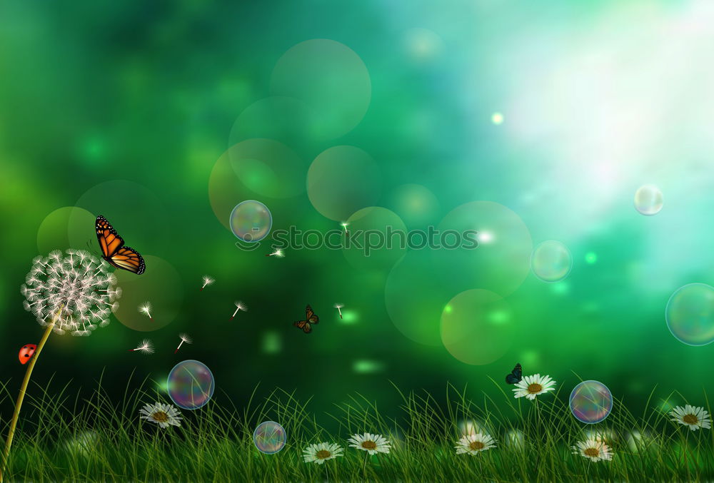 Similar – Image, Stock Photo Love in the grass Nature