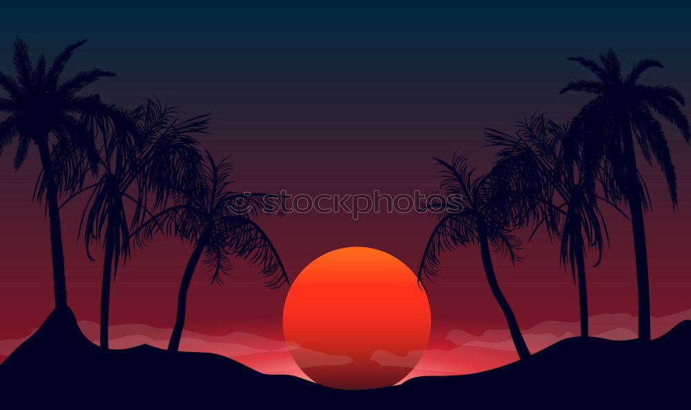 Similar – Image, Stock Photo mindimarket Plant Sunrise