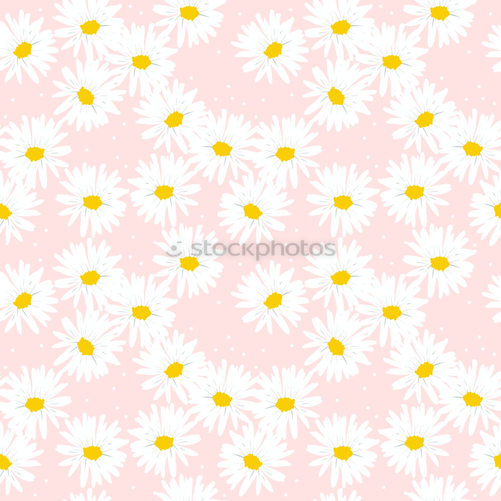 Similar – Lemonade pattern on pink background