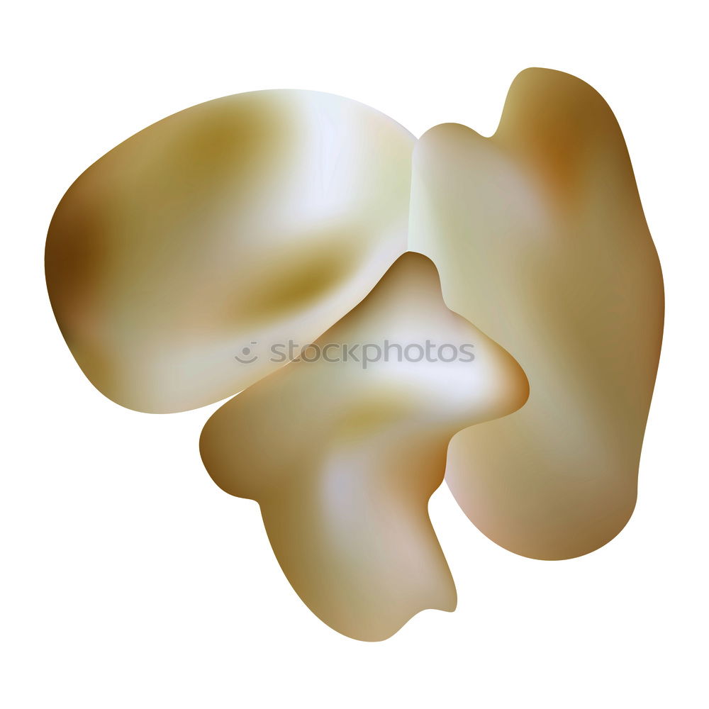 Similar – Image, Stock Photo Donald Duck’s clubfoot