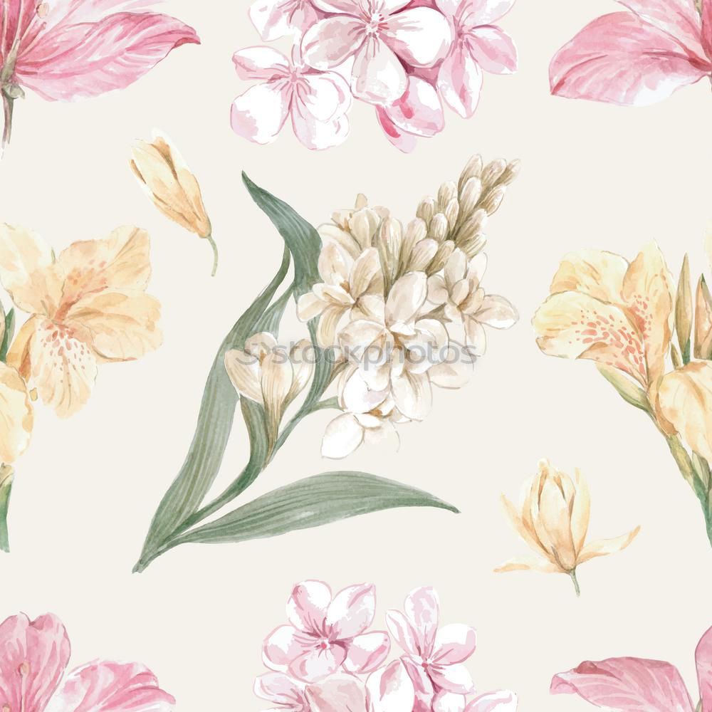 Similar – Pastel pink flowers pattern