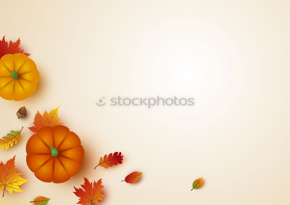 Similar – Bฺlank paper with autumn leaves and pumpkin