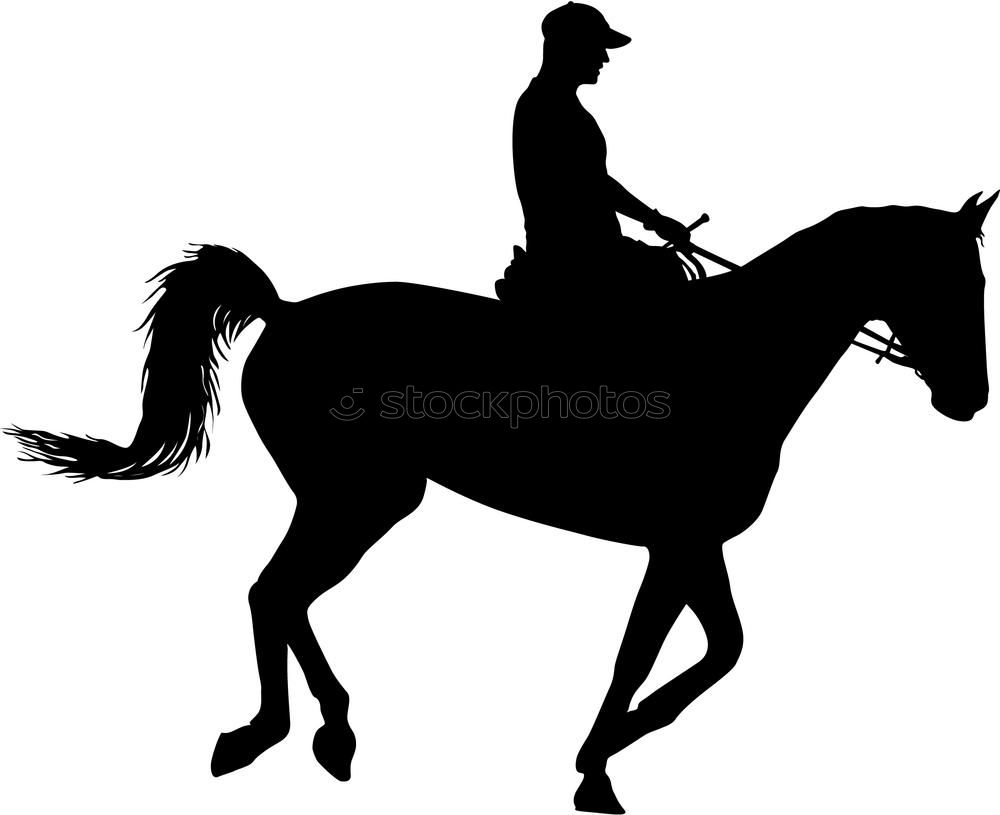 Similar – horse rider Horse