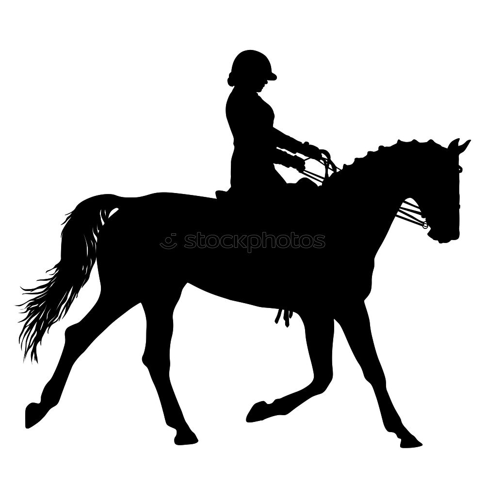 Similar – horse rider Horse