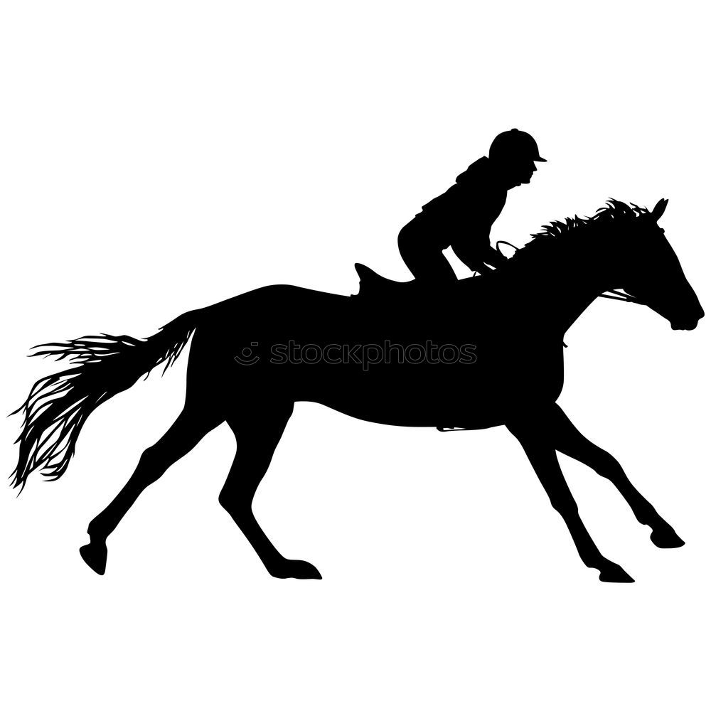 Similar – horse rider Horse