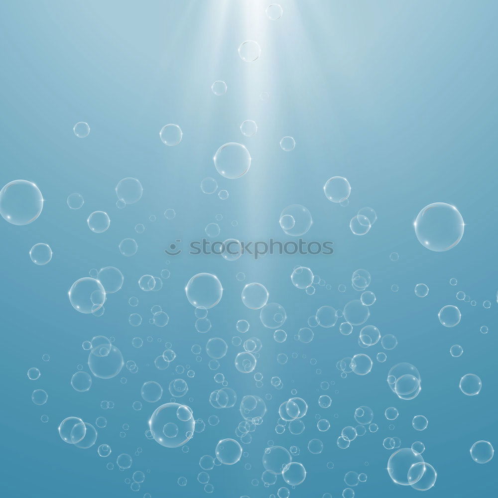 Similar – bubbles Nature Elements