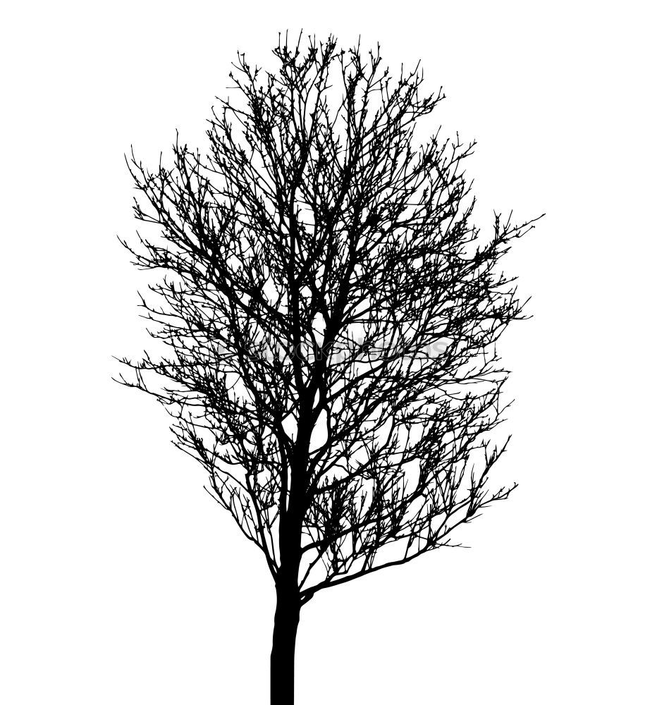 Similar – winter tree Tree Winter