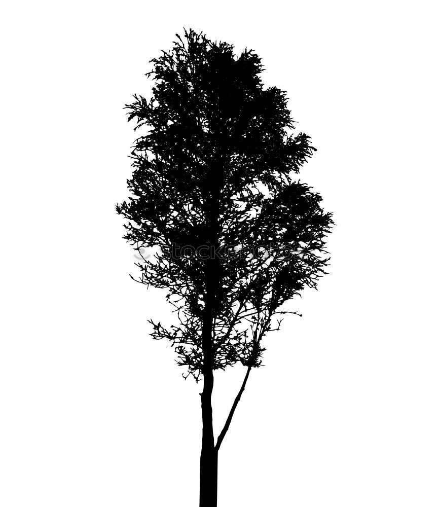Similar – Image, Stock Photo shadow play Nature