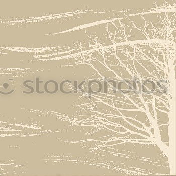 Similar – Goldlaub Natur Baum Blatt