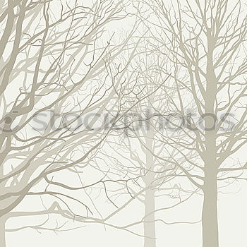 Similar – Image, Stock Photo Winter Avenue_1