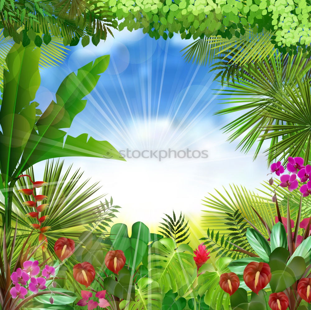 Similar – Image, Stock Photo Summer Garden with flower bed