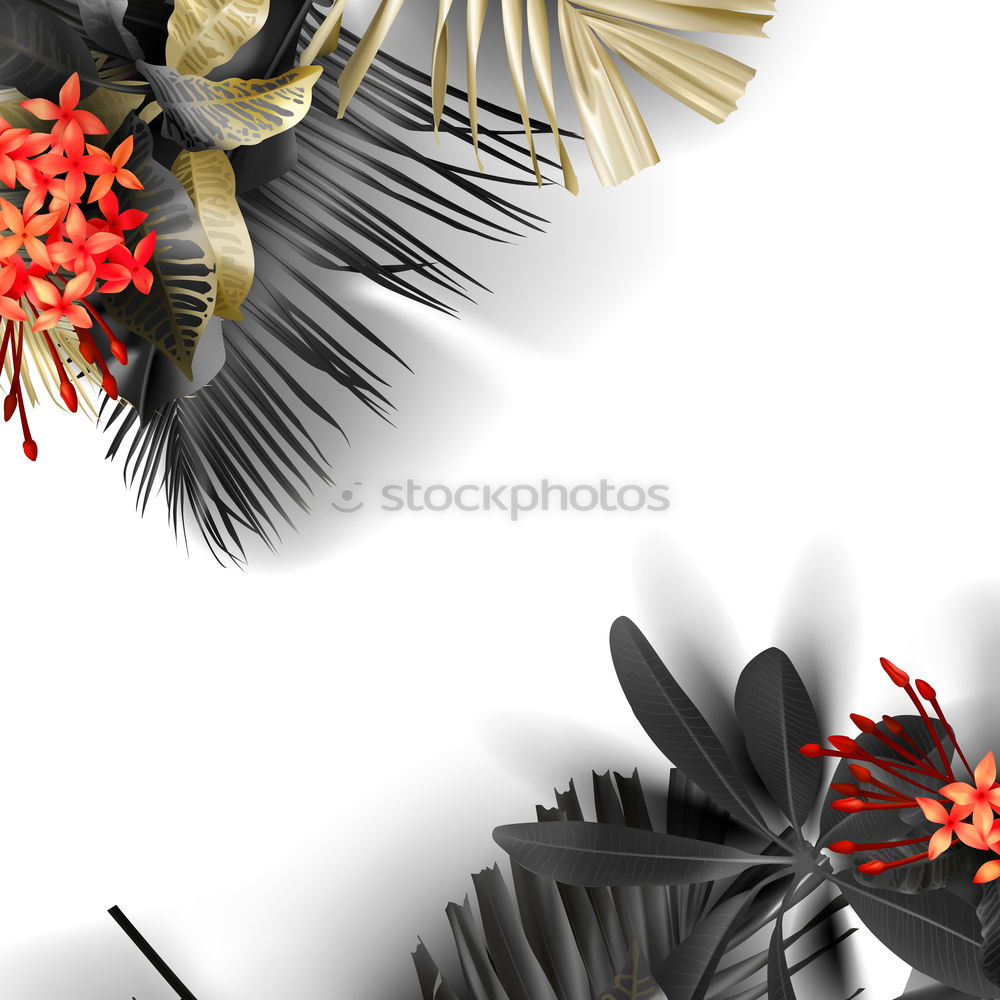 Similar – Image, Stock Photo Asterisk III Decoration