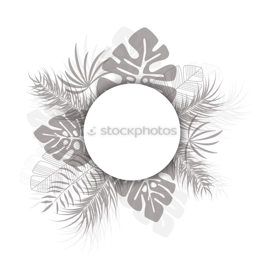 Similar – Image, Stock Photo White flowers on white