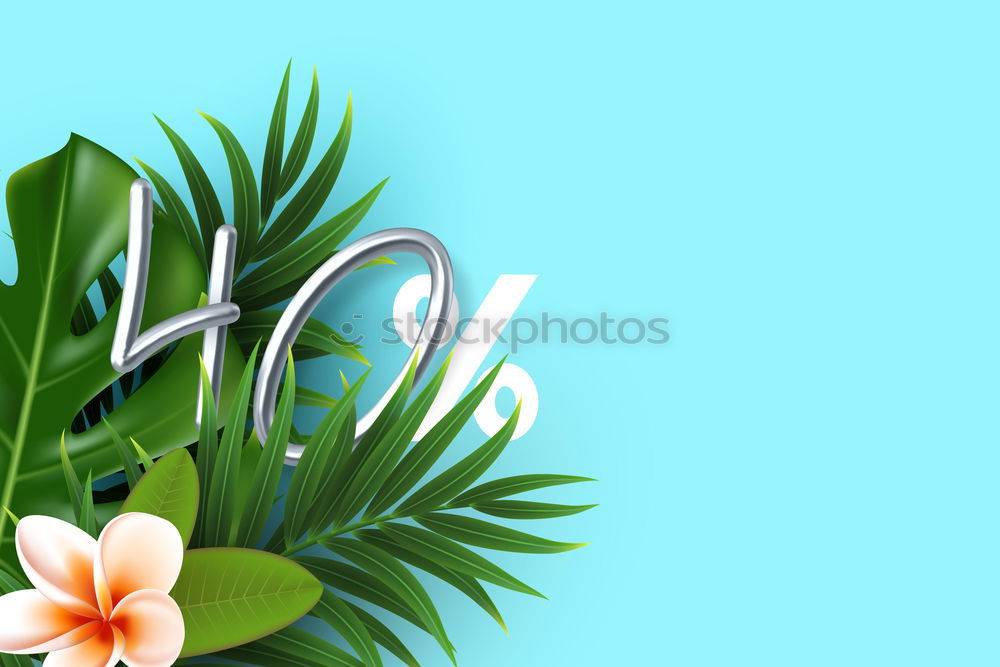 Similar – Tropical Summer Holiday Background