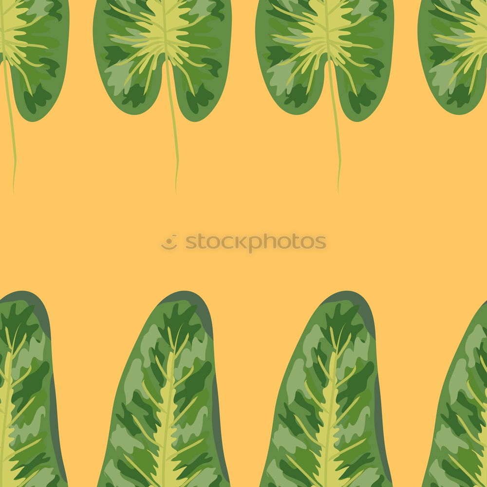 Similar – Image, Stock Photo Creative layout made of green leaves. Flat lay. Nature concept