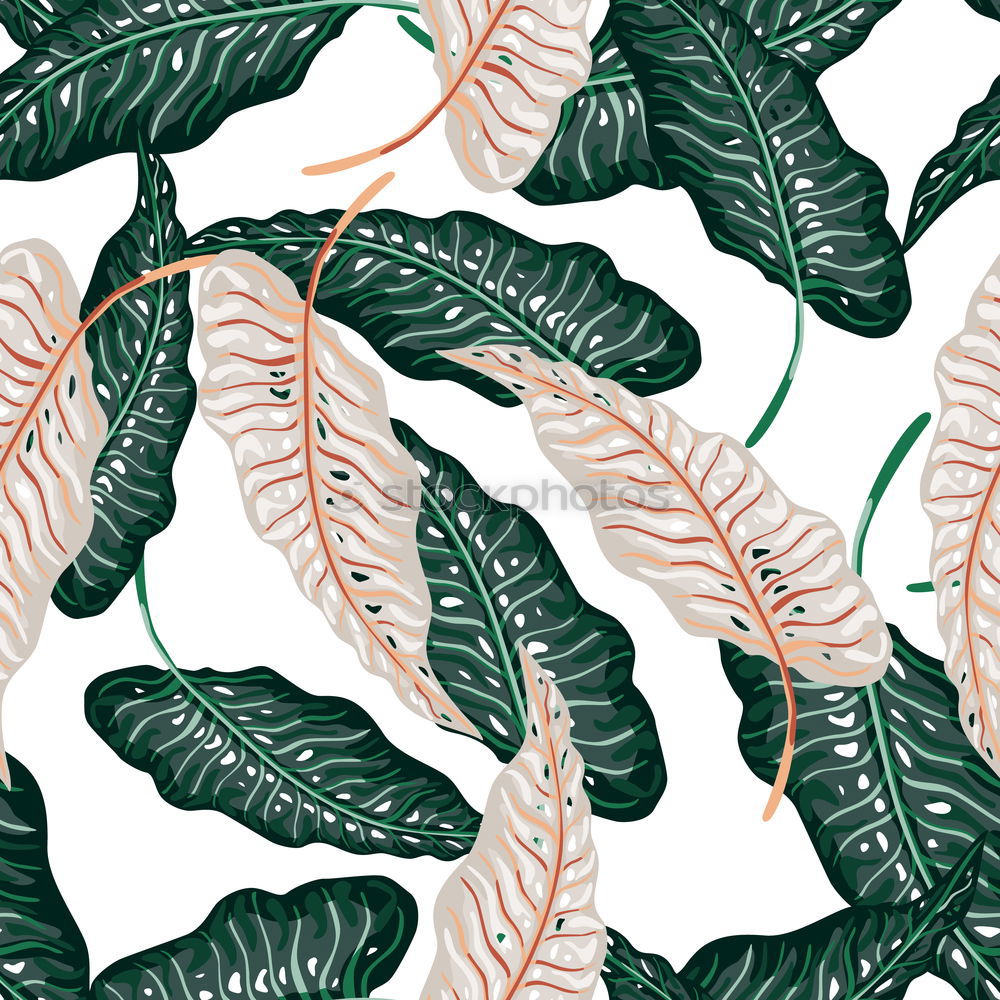 Similar – Image, Stock Photo Layout with various tropical palms and fern leaves