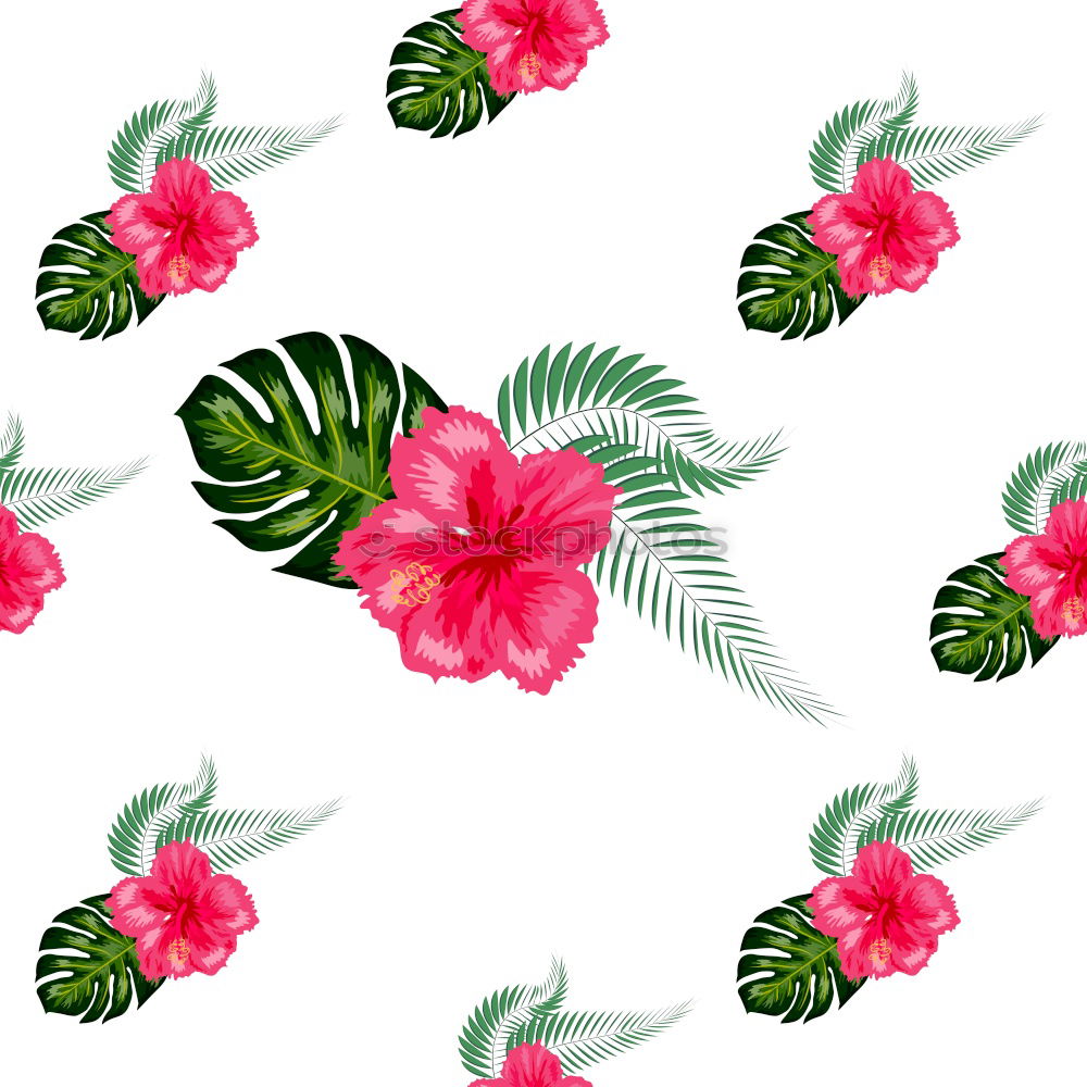 Similar – White background with tropical palm leaves and flowers